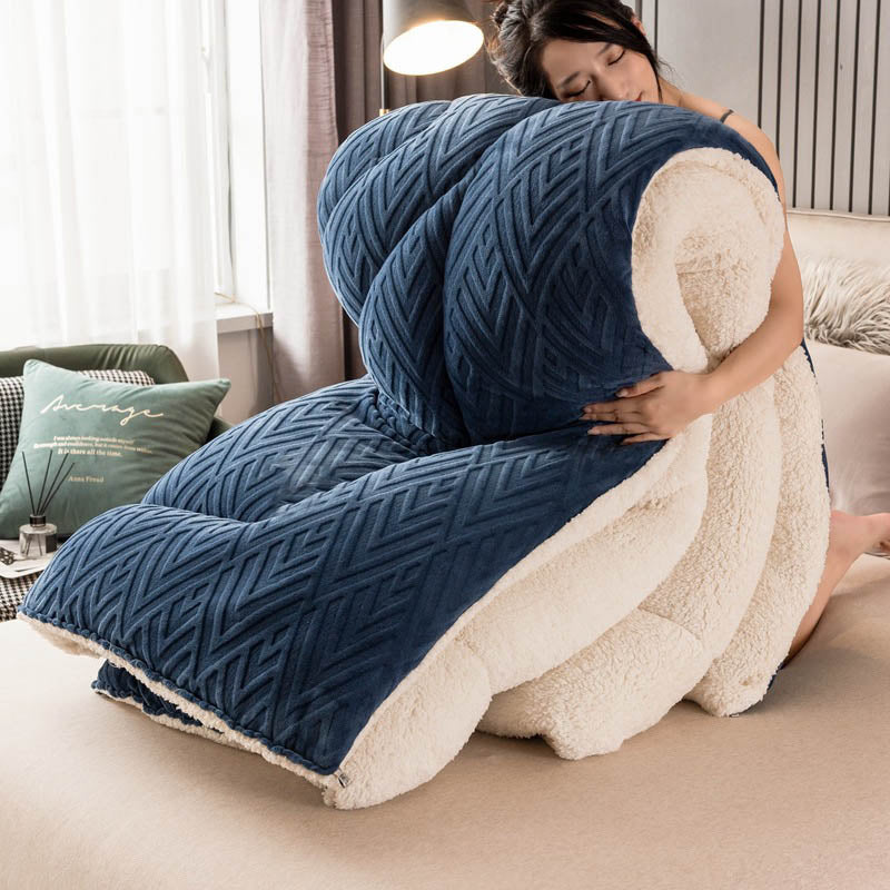 Ownkoti Thick Sherpa Winter Blanket with Quilt Core