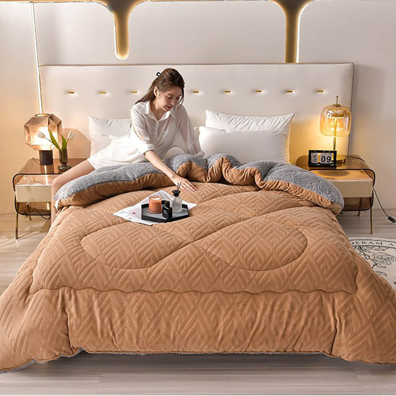 Ownkoti Thick Sherpa Winter Blanket with Quilt Core
