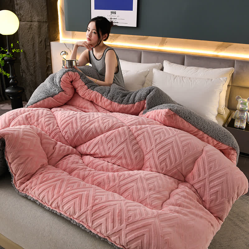 Ownkoti Thick Sherpa Winter Blanket with Quilt Core