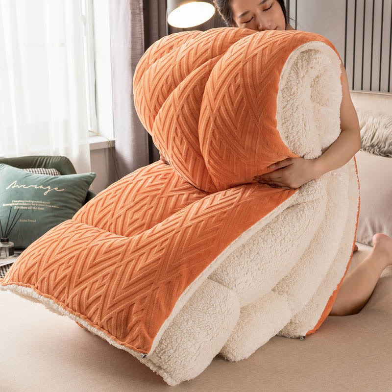 Ownkoti Thick Sherpa Winter Blanket with Quilt Core