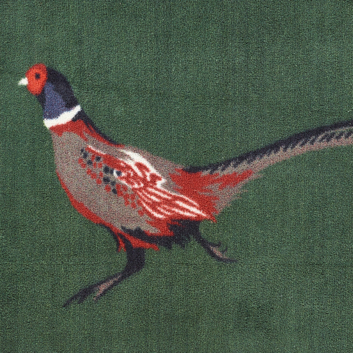 Close-up of Pheasant Green 2 Washable Doormat showing pheasant design.