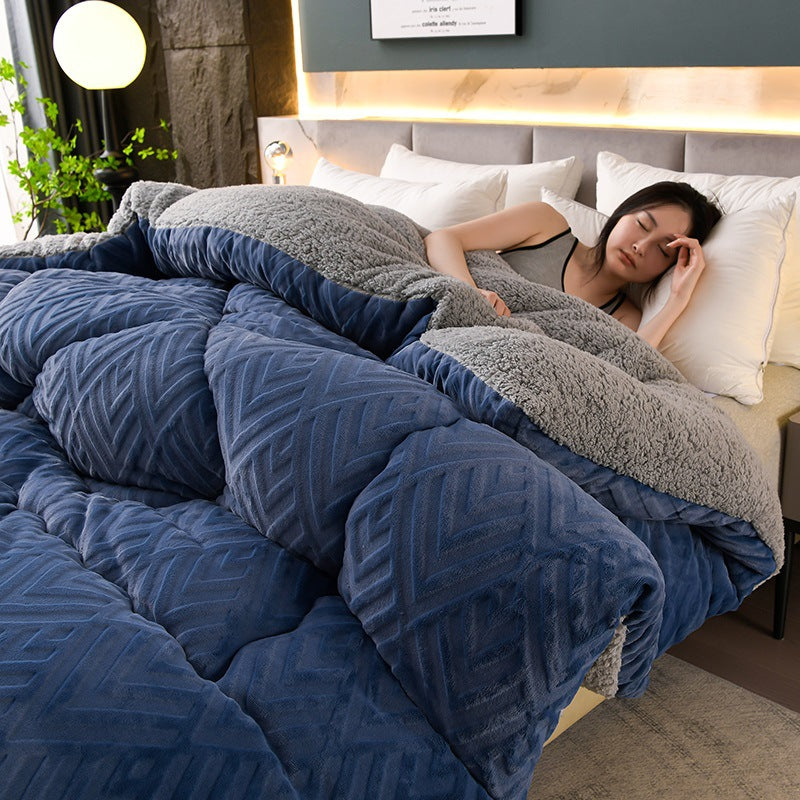 Ownkoti Thick Sherpa Winter Blanket with Quilt Core