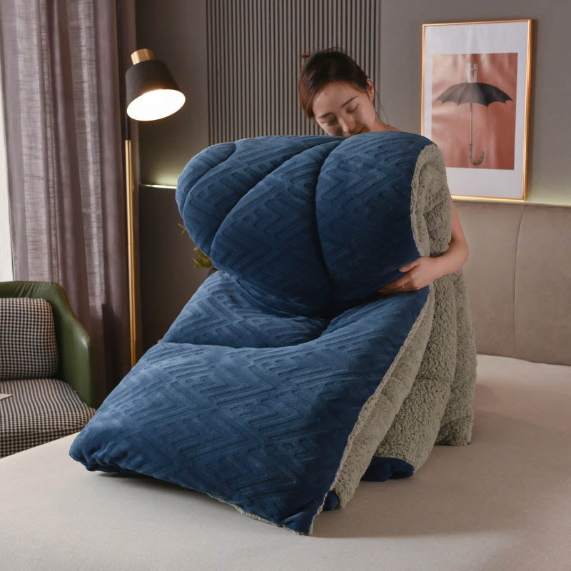 Ownkoti Thick Sherpa Winter Blanket with Quilt Core