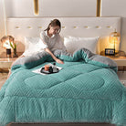 Ownkoti Thick Sherpa Winter Blanket with Quilt Core