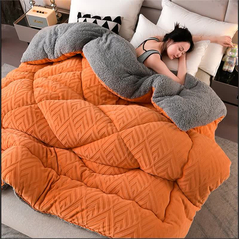Ownkoti Thick Sherpa Winter Blanket with Quilt Core
