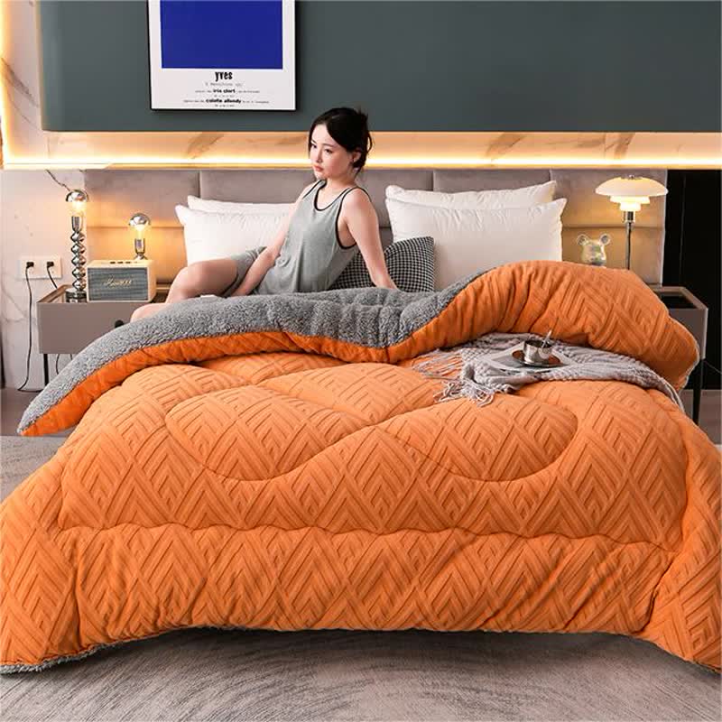 Ownkoti Thick Sherpa Winter Blanket with Quilt Core
