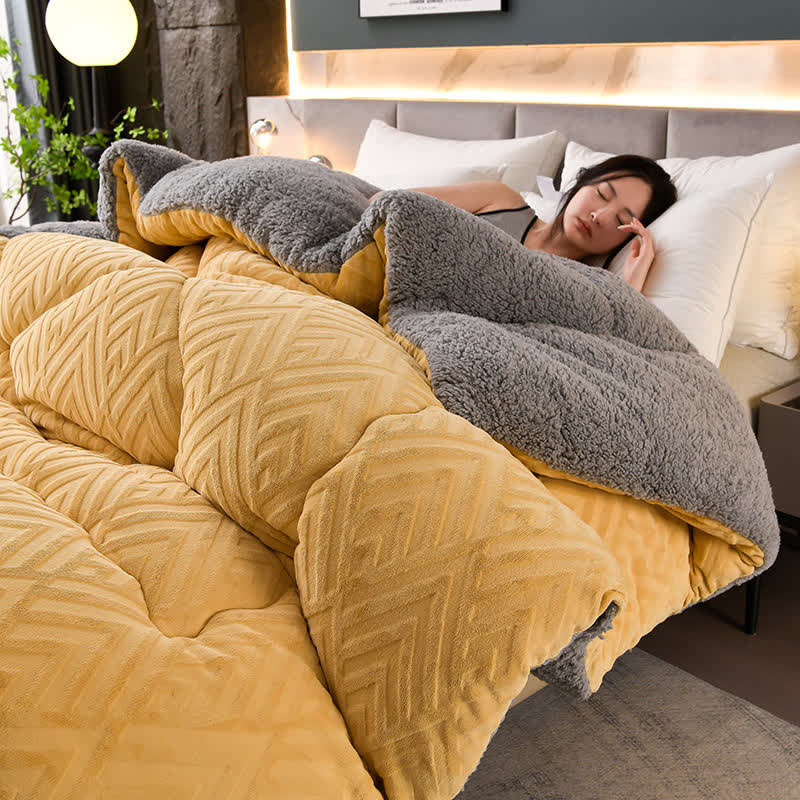 Ownkoti Thick Sherpa Winter Blanket with Quilt Core