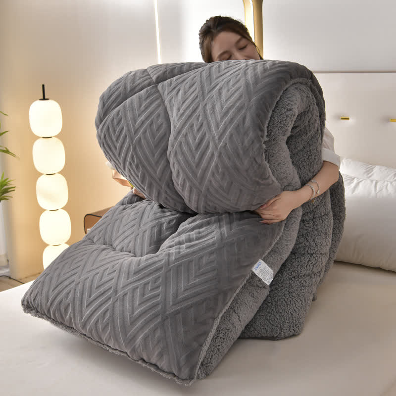 Ownkoti Thick Sherpa Winter Blanket with Quilt Core
