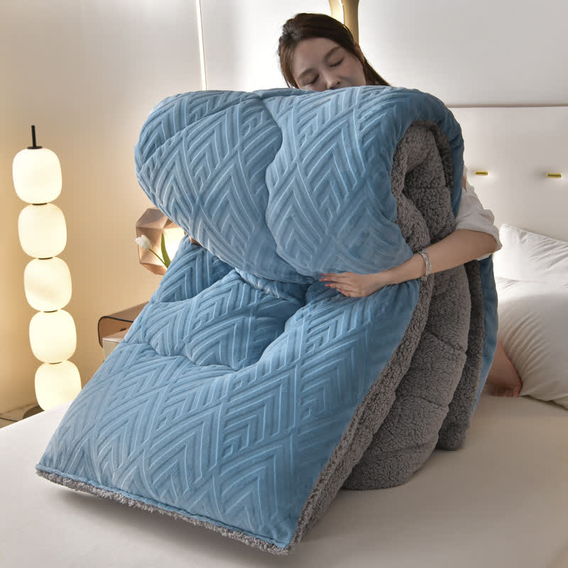 Ownkoti Thick Sherpa Winter Blanket with Quilt Core