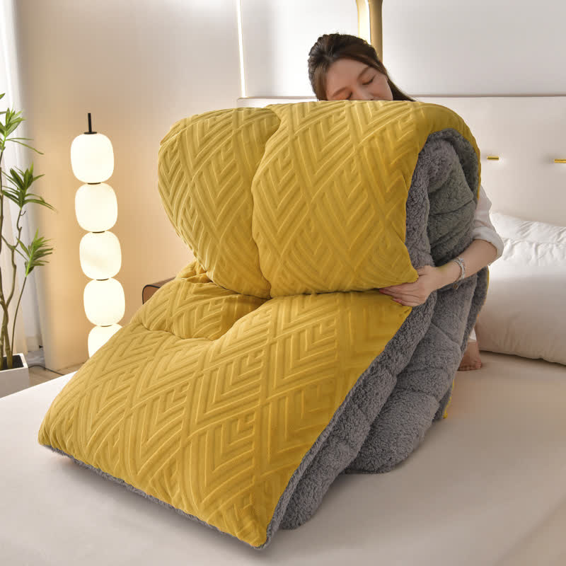 Ownkoti Thick Sherpa Winter Blanket with Quilt Core
