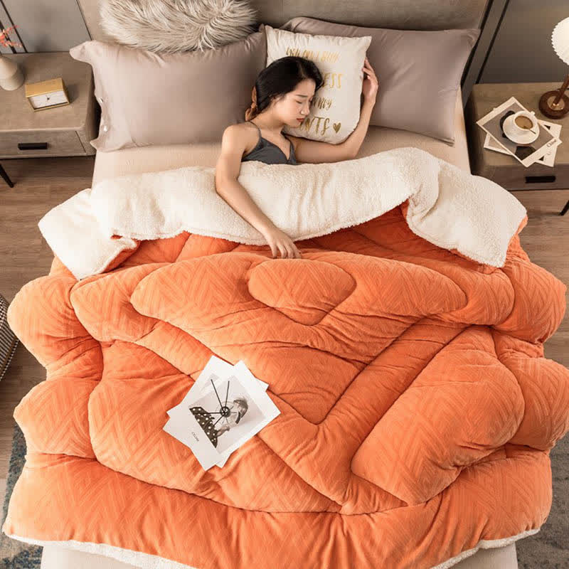 Ownkoti Thick Sherpa Winter Blanket with Quilt Core