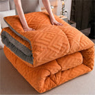 Ownkoti Thick Sherpa Winter Blanket with Quilt Core