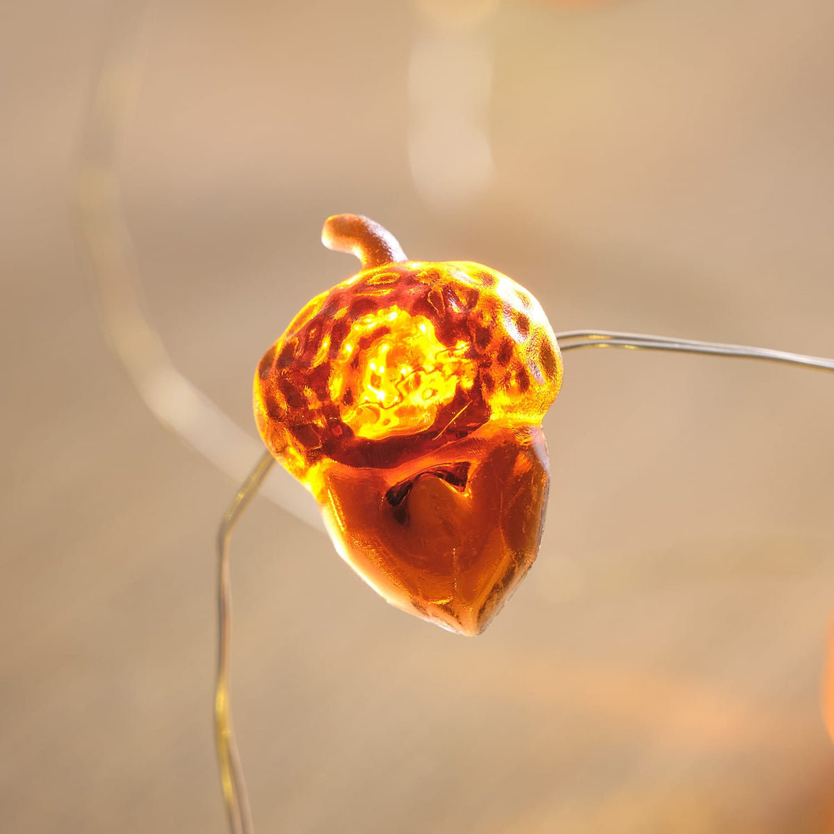 Fern | 30 LED Battery Autumn Micro String Lights With Timer