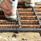 Alder | Coir Scraper Doormat With Rubber Base